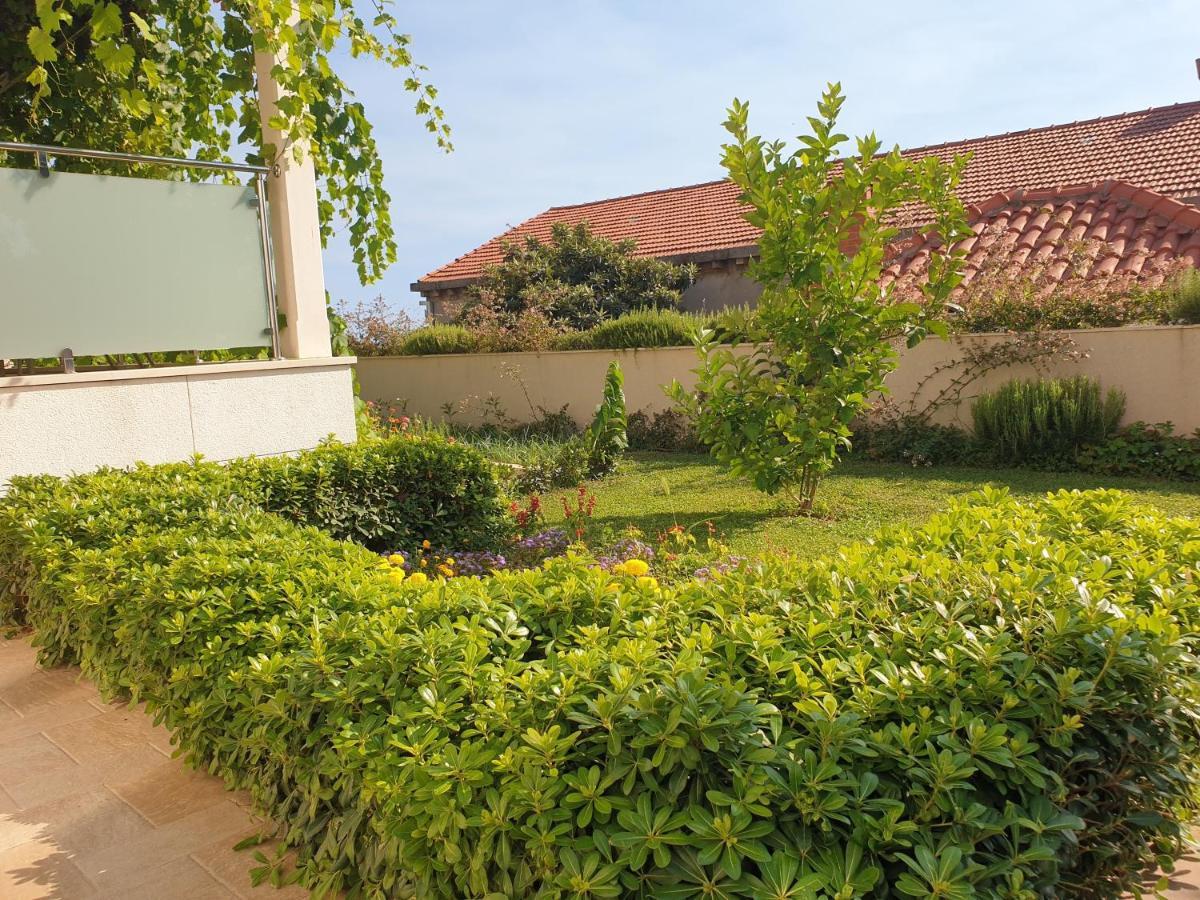 Abelia, Two Terraces, Hot Tub, Free Parking Appartamento *