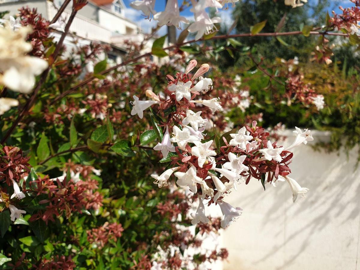 Abelia, Two Terraces, Hot Tub, Free Parking Ragusa